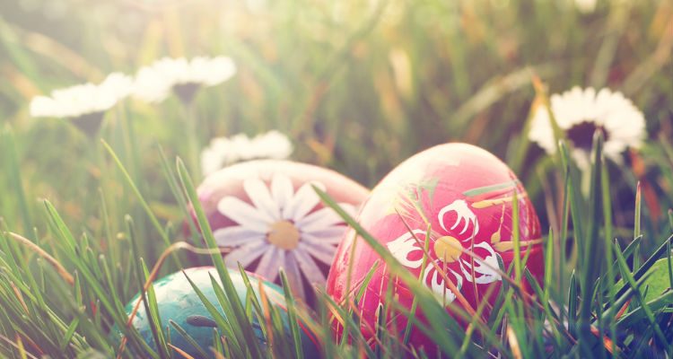 Encerramento de Serviços